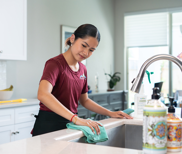 cleaner1-wiping-sink