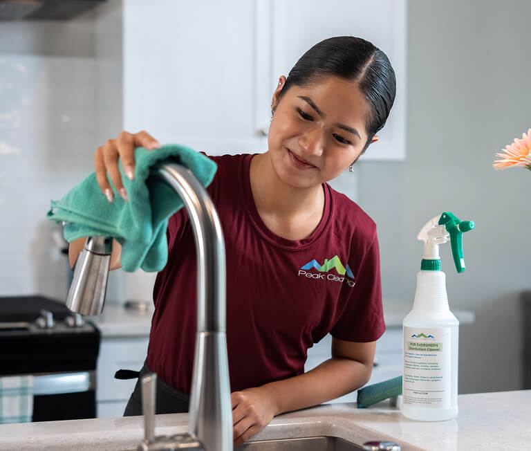 cleaner1-wiping-sink2