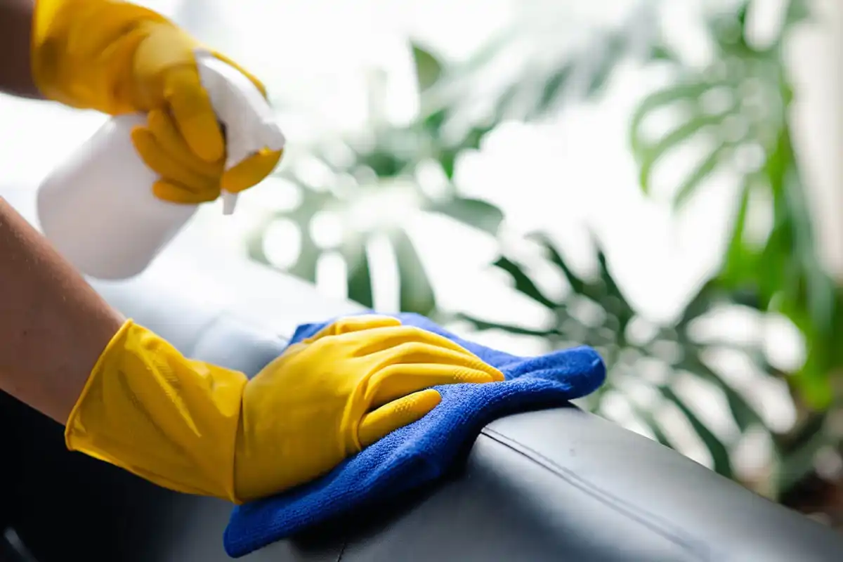 64b37ec001365511fe311914-daily-cleaning-routine