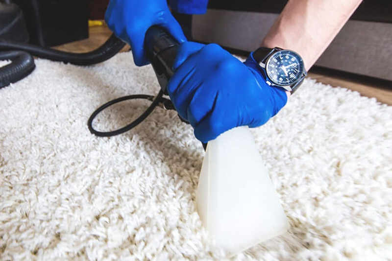 653134c3966a1928b827ee9f-professional-carpet-cleaning