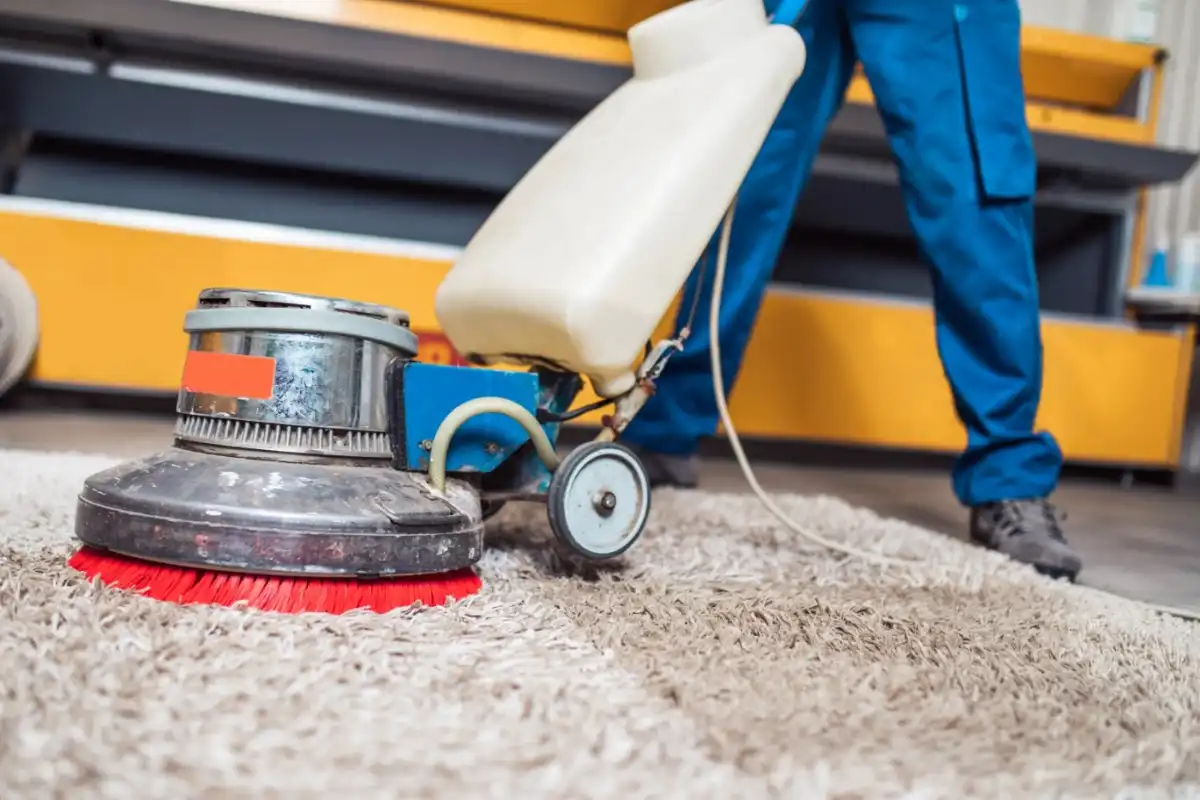 65815ed6544db0bd573728e9-steam-cleaning-or-vacuuming-carpets