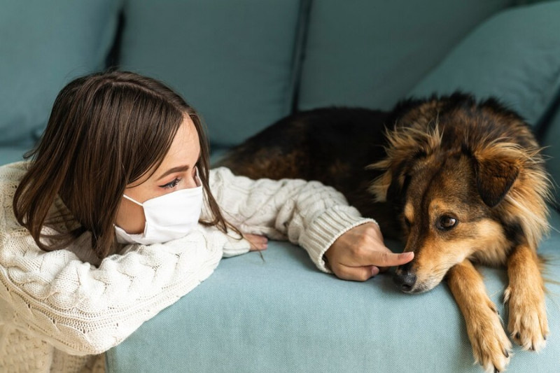 65a934a1051a3af276a83151-understanding-dog-odor